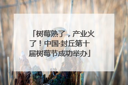 树莓熟了，产业火了！中国·封丘第十届树莓节成功举办