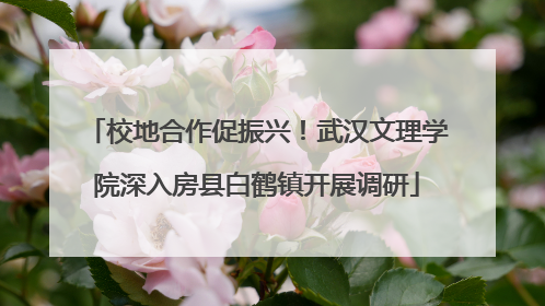 校地合作促振兴！武汉文理学院深入房县白鹤镇开展调研