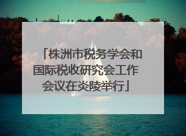 株洲市税务学会和国际税收研究会工作会议在炎陵举行