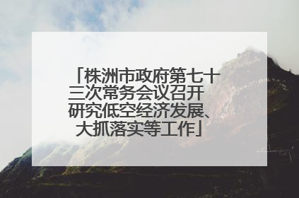 株洲市政府第七十三次常务会议召开 研究低空经济发展、大抓落实等工作