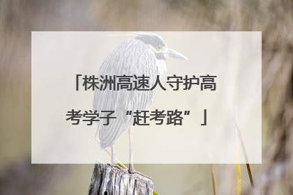 株洲高速人守护高考学子“赶考路”