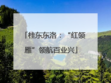 桂东东洛：“红领雁”领航百业兴