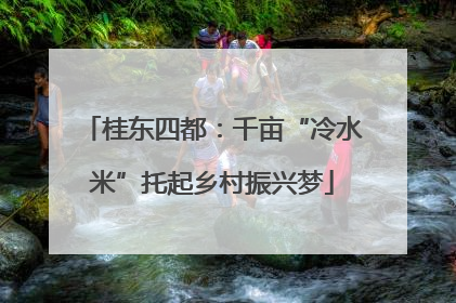 桂东四都：千亩“冷水米”托起乡村振兴梦