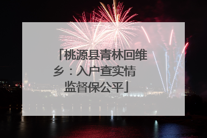 桃源县青林回维乡：入户查实情 监督保公平