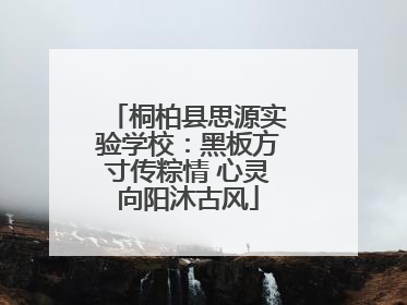 桐柏县思源实验学校：黑板方寸传粽情 心灵向阳沐古风