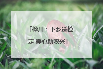 桦川：下乡送检定 暖心助农兴