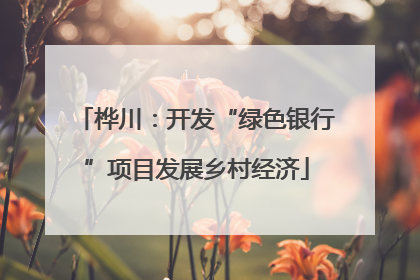 桦川：开发“绿色银行”项目发展乡村经济