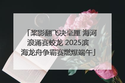 桨影翻飞决毫厘 海河浪涌赛蛟龙 2025滨海龙舟争霸赛燃爆端午