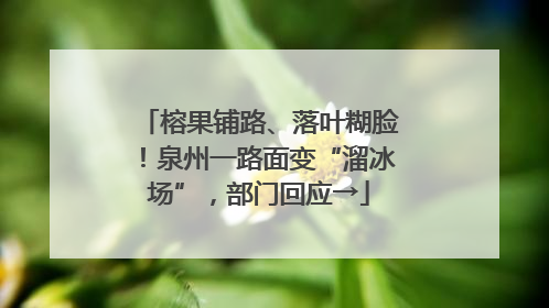 榕果铺路、落叶糊脸！泉州一路面变“溜冰场”，部门回应→