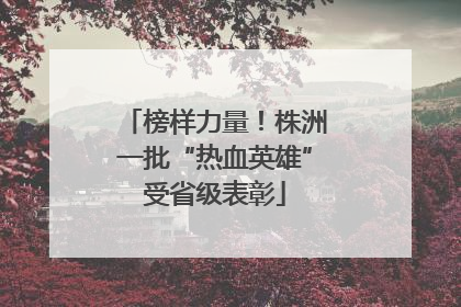 榜样力量！株洲一批“热血英雄”受省级表彰