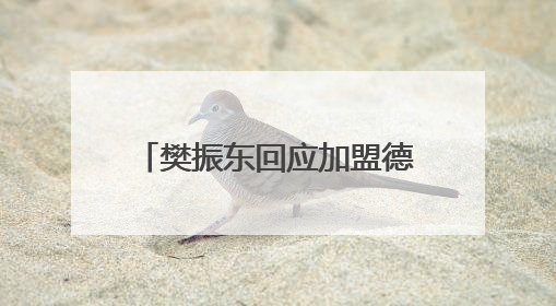 樊振东回应加盟德甲联赛，俱乐部称其十天前主动联系