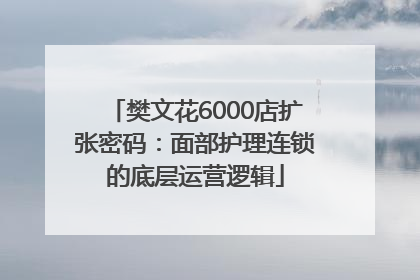 樊文花6000店扩张密码：面部护理连锁的底层运营逻辑