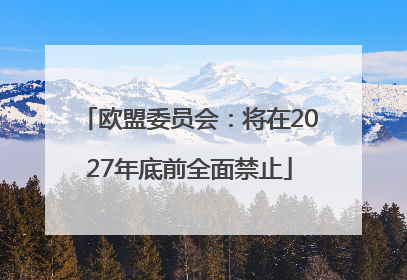 欧盟委员会：将在2027年底前全面禁止