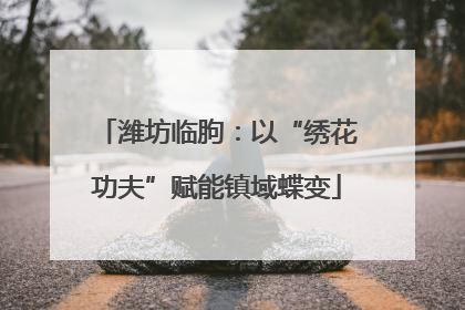 潍坊临朐：以“绣花功夫”赋能镇域蝶变