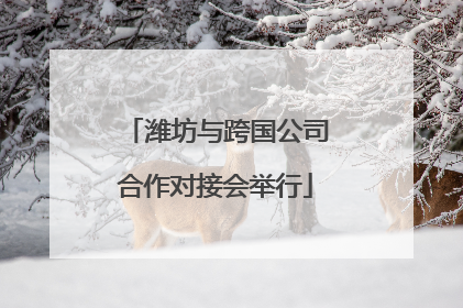 潍坊与跨国公司合作对接会举行