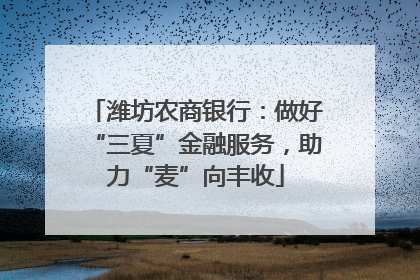 潍坊农商银行：做好“三夏”金融服务，助力“麦”向丰收