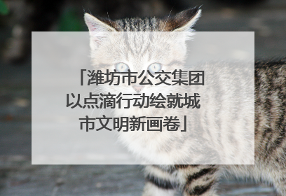 潍坊市公交集团以点滴行动绘就城市文明新画卷