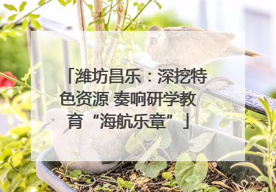 潍坊昌乐：深挖特色资源 奏响研学教育“海航乐章”