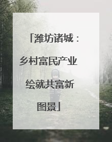 潍坊诸城：乡村富民产业 绘就共富新图景
