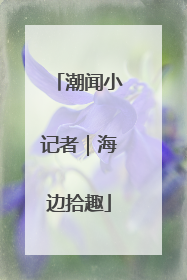 潮闻小记者｜海边拾趣