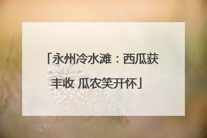 永州冷水滩：西瓜获丰收 瓜农笑开怀