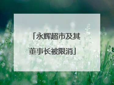 永辉超市及其董事长被限消