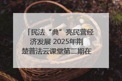 民法“典”亮民营经济发展 2025年荆楚普法云课堂第二期在武汉客厅开讲