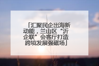 汇聚民企出海新动能，兰山区“沂企联”会客厅打造跨境发展强磁场