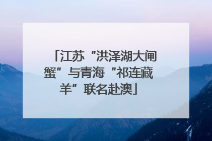 江苏“洪泽湖大闸蟹”与青海“祁连藏羊”联名赴澳