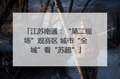 江苏南通：“第二现场”观赛区 城市“全域”看“苏超”