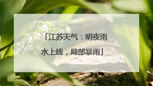 江苏天气：明夜雨水上线，局部暴雨