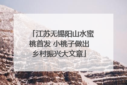 江苏无锡阳山水蜜桃首发 小桃子做出乡村振兴大文章