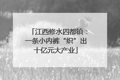 江西修水四都镇：一条小内裤“织”出十亿元大产业