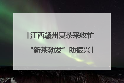 江西赣州夏茶采收忙 “新茶勃发”助振兴