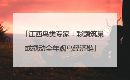 江西鸟类专家：彩鹮筑巢或撬动全年观鸟经济链