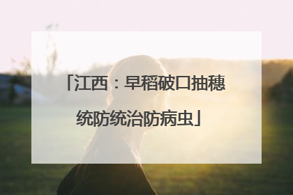 江西：早稻破口抽穗 统防统治防病虫
