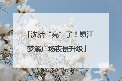 沈括“亮”了！镇江梦溪广场夜景升级