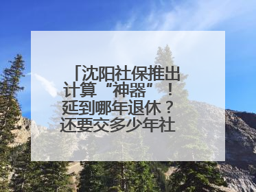 沈阳社保推出计算“神器”！延到哪年退休？还要交多少年社保？速查→
