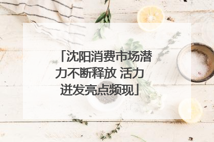 沈阳消费市场潜力不断释放 活力迸发亮点频现