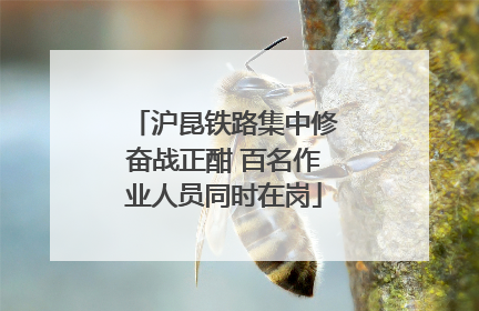 沪昆铁路集中修奋战正酣 百名作业人员同时在岗