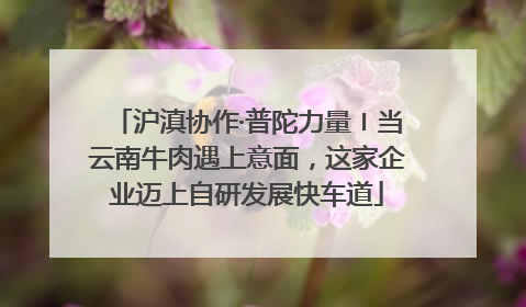 沪滇协作·普陀力量〡当云南牛肉遇上意面，这家企业迈上自研发展快车道