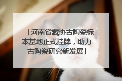 河南省藏协古陶瓷标本基地正式挂牌，助力古陶瓷研究新发展