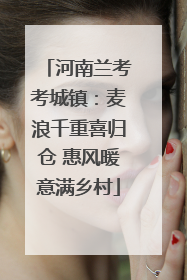 河南兰考考城镇：麦浪千重喜归仓 惠风暖意满乡村