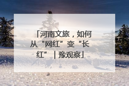 河南文旅，如何从“网红”变“长红”｜豫观察