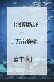 河南新野：万亩鲜桃喜丰收