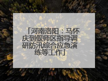 河南洛阳：马怀庆到偃师区指导调研防汛综合应急演练等工作