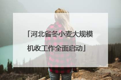 河北省冬小麦大规模机收工作全面启动