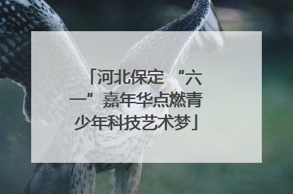 河北保定 “六一”嘉年华点燃青少年科技艺术梦