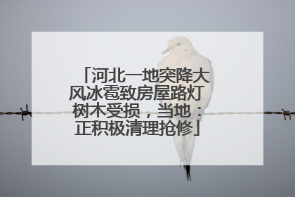 河北一地突降大风冰雹致房屋路灯树木受损，当地：正积极清理抢修