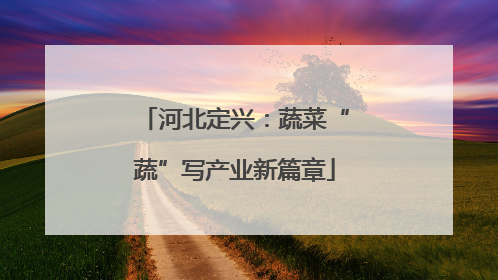 河北定兴：蔬菜“蔬”写产业新篇章